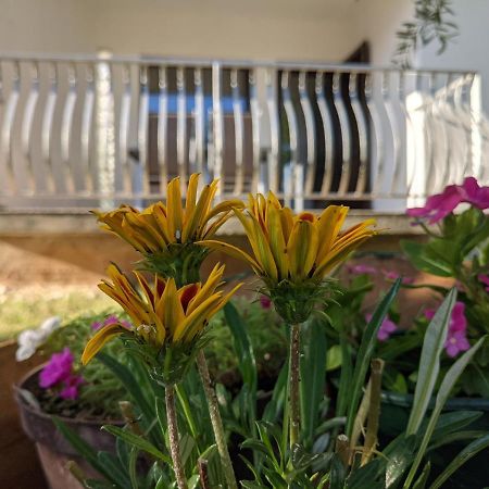 Apartment Ika Baška Εξωτερικό φωτογραφία